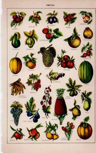 LAMINA V23159: Frutas