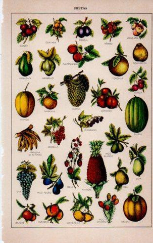 LAMINA V23159: Frutas