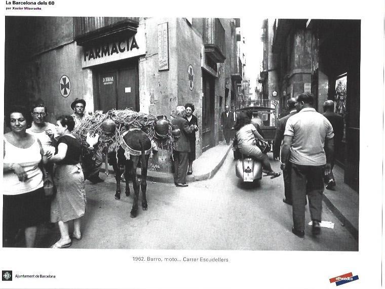 LAMINA 33369: Burro en calle Escudellers