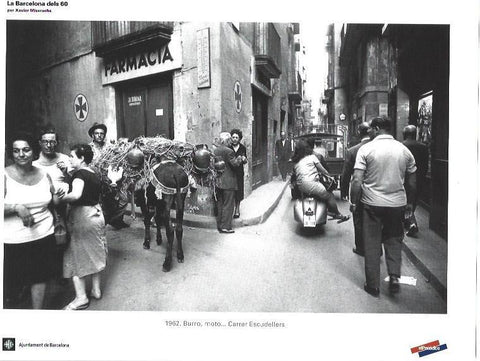 LAMINA 33369: Burro en calle Escudellers