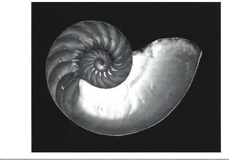 POSTAL A1347: 1927. Shell