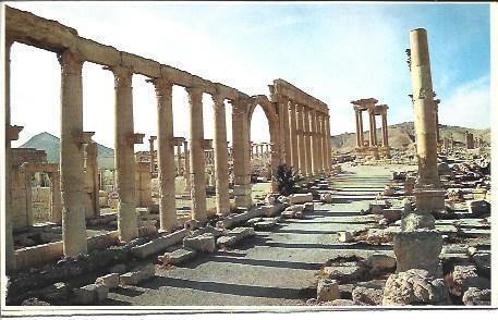 POSTAL A1390: Calle principal de Palmyra, Siria
