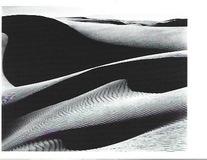 POSTAL A1334: Dunas en Oceano. 1936