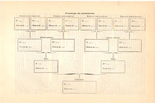 LAMINA V23968: Genealogia del pretendiente