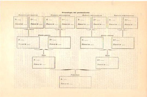 LAMINA V23968: Genealogia del pretendiente