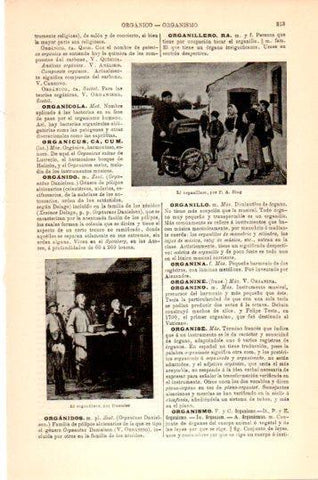 LAMINA V23996: El organillero por Daumier