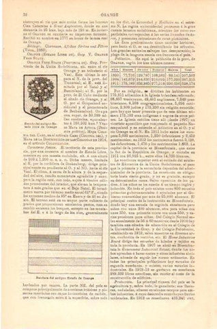 LAMINA V23952: Escudo y bandera del antiguo Estado de Orange