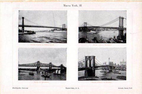 LAMINA V23933: Puentes de Nueva York