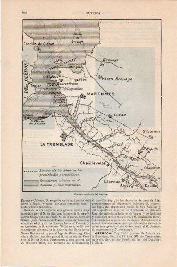 LAMINA V24127: Cuenca ostricola del Seudre