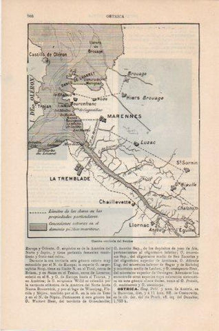 LAMINA V24127: Cuenca ostricola del Seudre