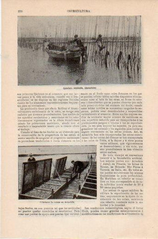 LAMINA V24129: Criadero ostricola de Arcachon
