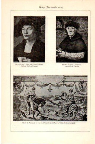 LAMINA V24038: Bernardo van Orley por Durero
