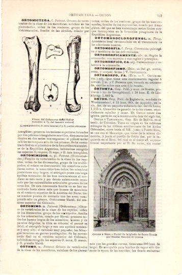 LAMINA V24089: Portal iglesia de Santo Tomas en Ortona a Mare