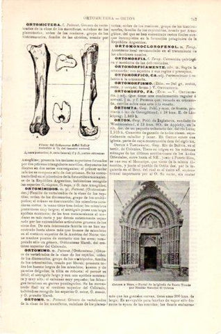 LAMINA V24089: Portal iglesia de Santo Tomas en Ortona a Mare