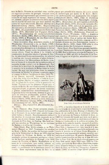 LAMINA V24087: Juan Orth archiduque Salvador