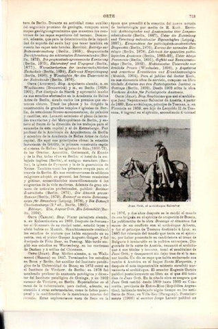 LAMINA V24087: Juan Orth archiduque Salvador