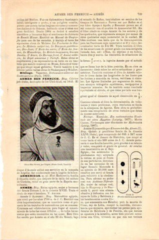 LAMINA V23687: Ahmer Ben Ferruch por Pingret
