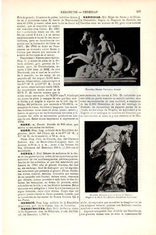 LAMINA V23742: Esculturas de Nereida