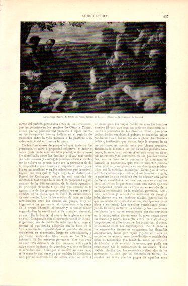 LAMINA V23638: Agricultores por el Bassano