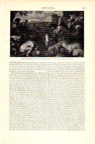 LAMINA V23638: Agricultores por el Bassano