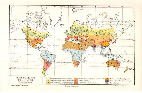LAMINA V23635: Mapa de las zonas de cultivo en el mundo