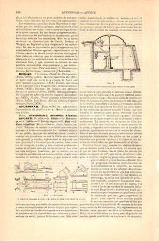 LAMINA V23617: Afustes
