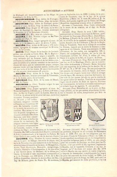 LAMINA V23673: Armas de la casa de Aguirre