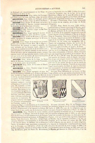 LAMINA V23673: Armas de la casa de Aguirre