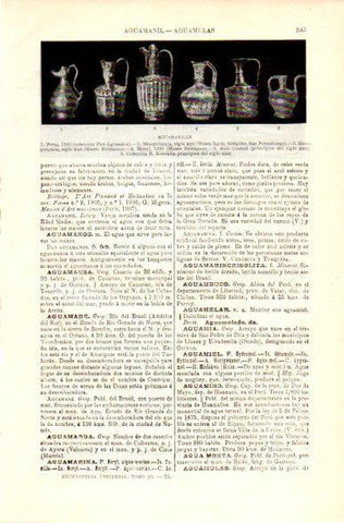 LAMINA V23654: Aguamaniles