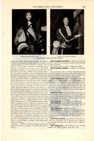 LAMINA V23832: Retratos de Luis XIV por Juan Nocret