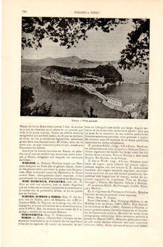 LAMINA V23820: Vista general de Nisida