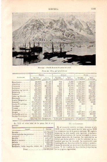 LAMINA V23880: Fiordo en Noruega