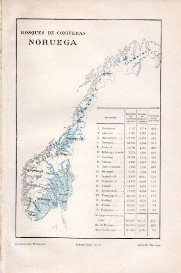 LAMINA V23872: Bosques de coniferas de Noruega