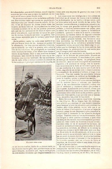 LAMINA V23772: Guerrero de niam niam