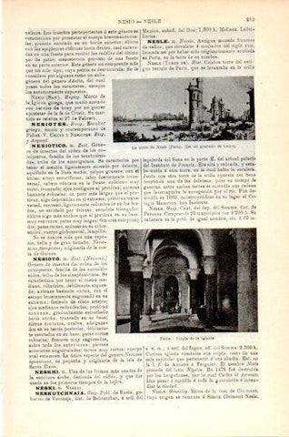 LAMINA V23748: Cripta de la iglesia de Nesle