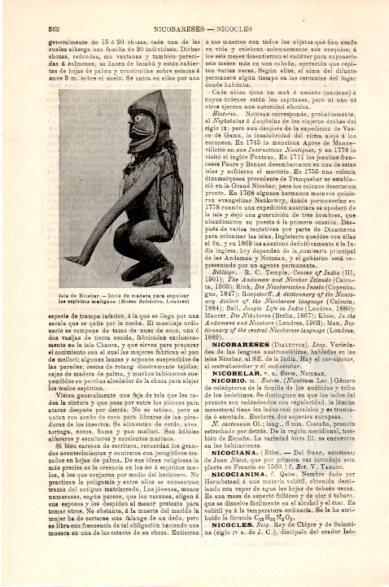 LAMINA V23779: Idolo de madera de la Isla de Nicobar