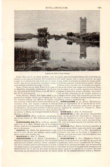 LAMINA V23812: Laguna de Ninfa y torre Gaetani