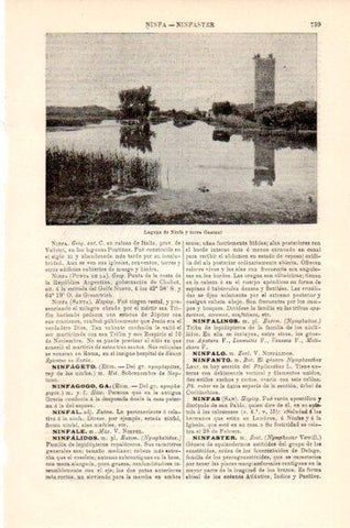 LAMINA V23812: Laguna de Ninfa y torre Gaetani