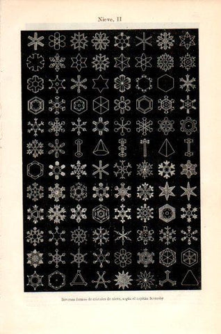 LAMINA V23793: Nieve II