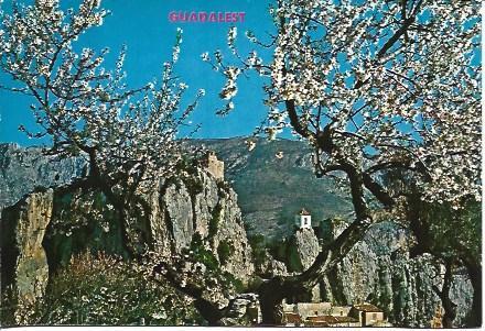 POSTAL L05975: Almendro en Castell de Guadalest, Alicante