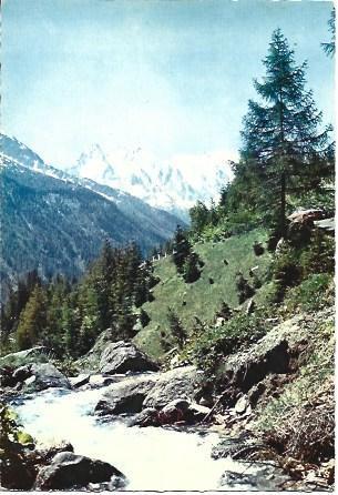 POSTAL L06051: Chamonix. Montblanc
