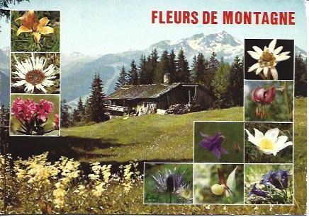 POSTAL L06016: Flores de montaña