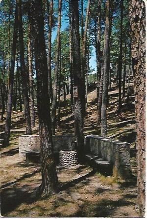 POSTAL L06027: Fuente del Pino en San Leonardo de Yague