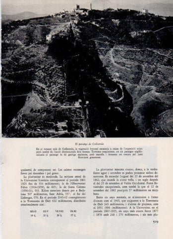 LAMINA V26136: Paisatge de Collserola