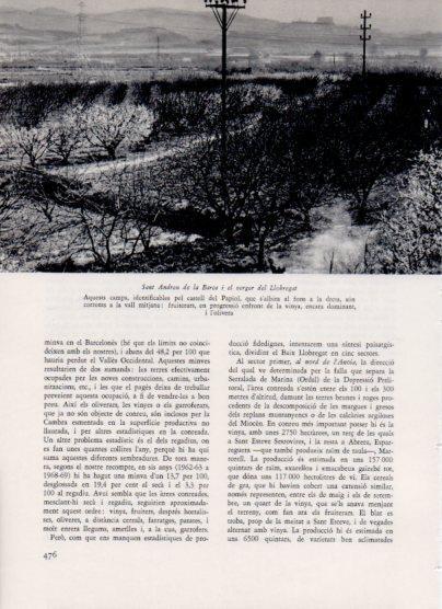 LAMINA V26121: San Andreu de la Barca i el verger del Llobregat