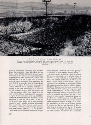 LAMINA V26121: San Andreu de la Barca i el verger del Llobregat