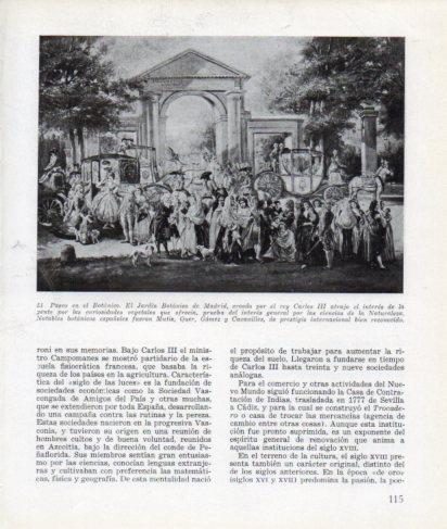 LAMINA V26280: Paseo en el Botanico de Madrid