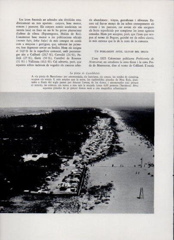 LAMINA V26114: La platja de Castelldefels