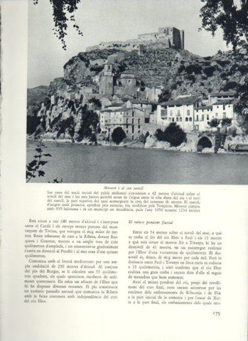 LAMINA V25968: Vista de Miravet i el seu castell