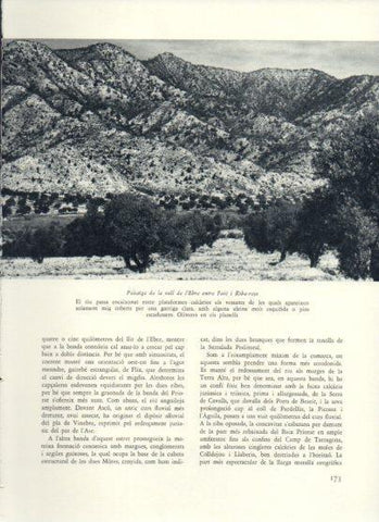 LAMINA V25967: Paisatge de la vall de l'Ebre entre Faio i Riba-roja